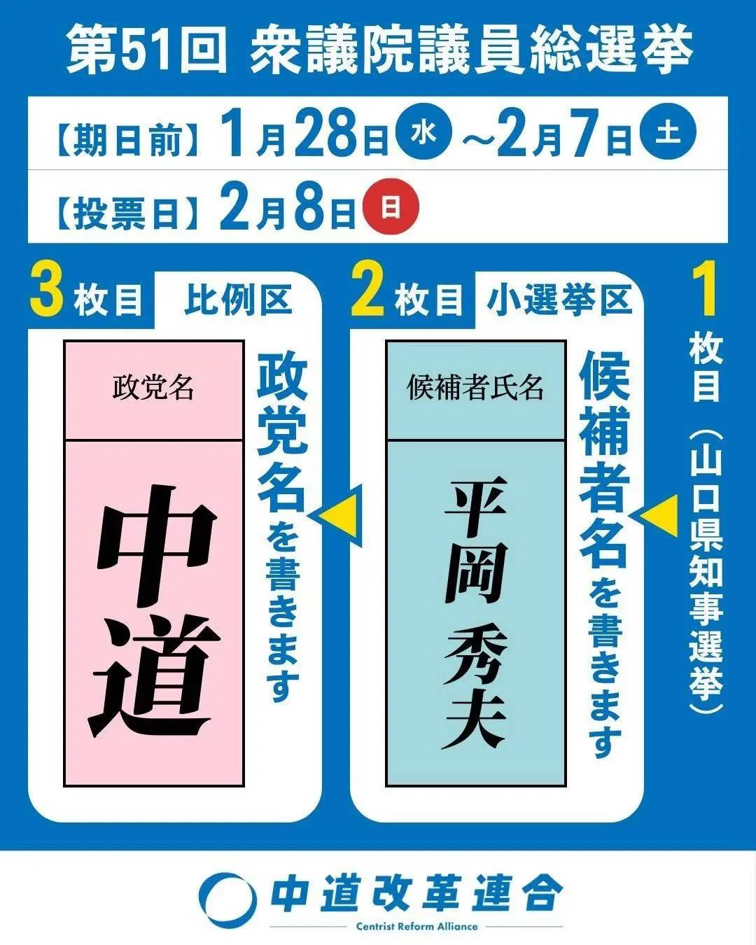 活動スケジュール